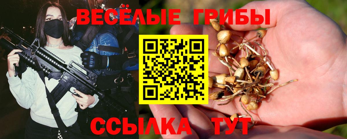 Псилоцибиновые грибы Magic Shrooms Липецк